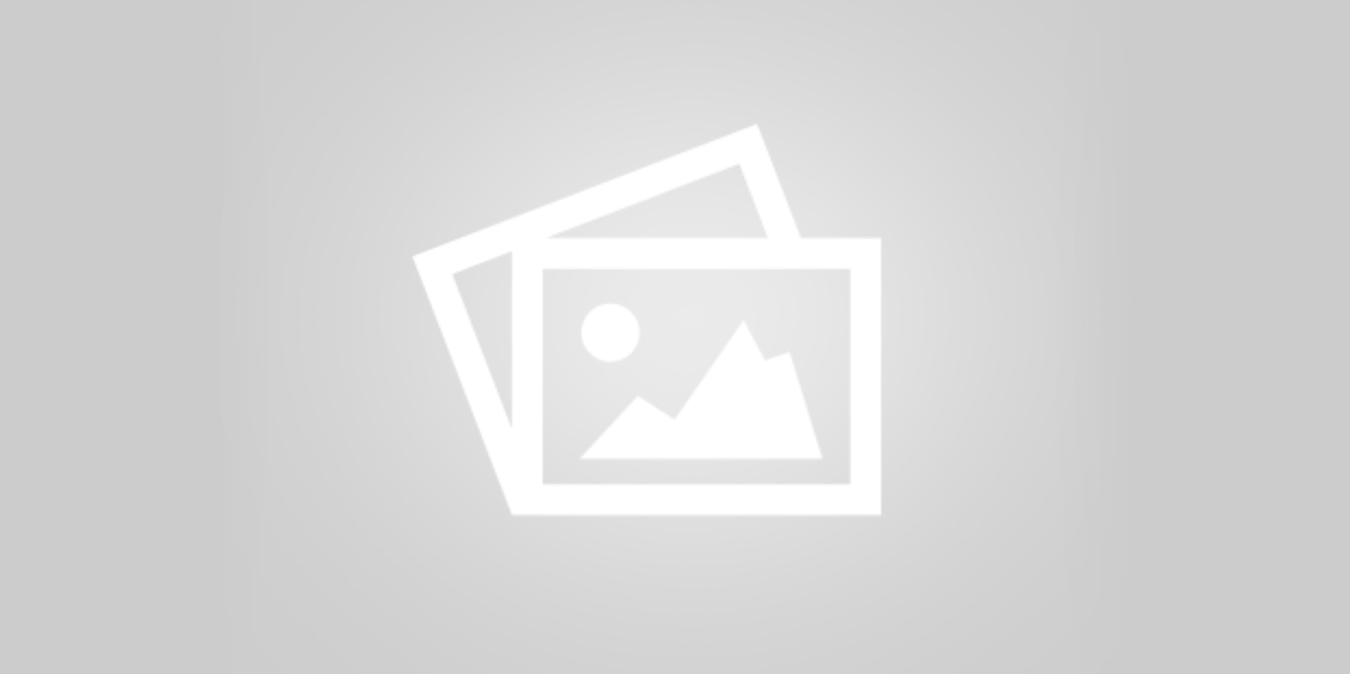 Rock Transplants and Ants in my Pants